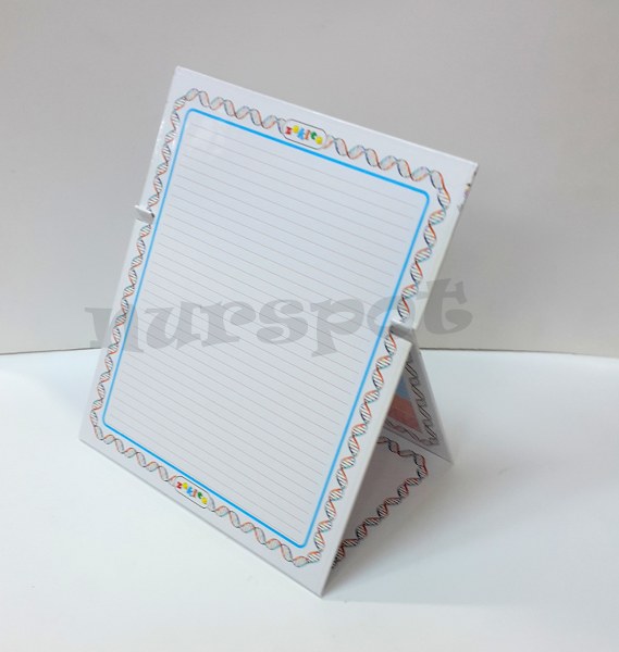 toptan yazı tahtasa eğitici mıknatıslı   2529