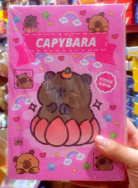 toptan büyük defter sticker çoklu sayfa   5832