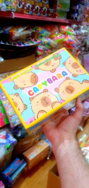 toptan oyun kartı sticker seti kapibara 48 li kutu   5792