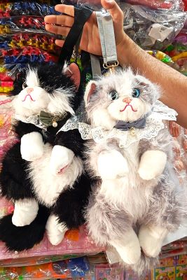 toptan kedi sırt çantası patisine basıldığında miyavlar
