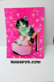toptan kaliteli 3 boyutlu resim kedi modeli