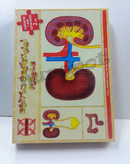 toptan oyuncak puzzle iç organ serisi