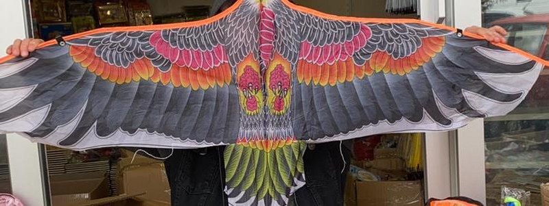 toptan kartal uçurtma 77 cm