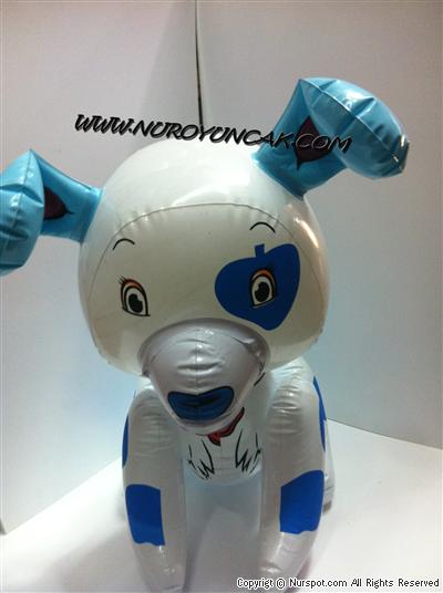 balon benekli köpek