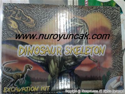 kazı bul-dınosaur skeleton-excavation kit
