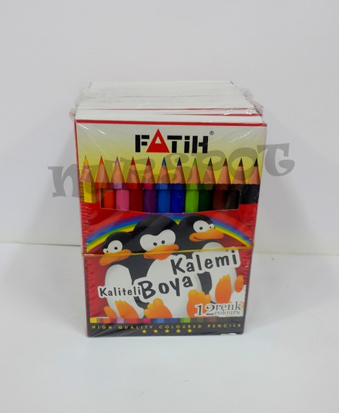 fatih kuru boya 12 li orta boy