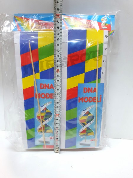 toptan iş eğitimi dna modeli 10 lu      0555