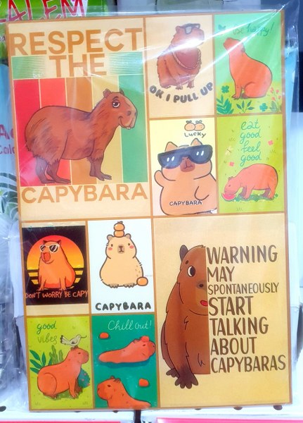 toptan sticker çeşitleri capybara