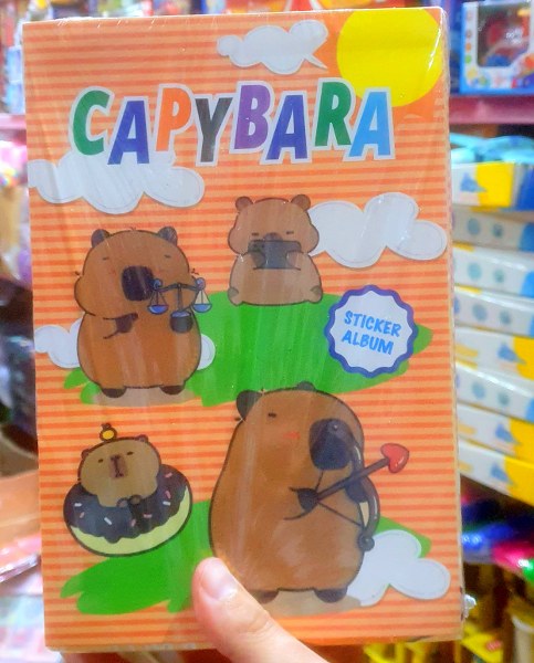 toptan büyük defter sticker çoklu sayfa   5832