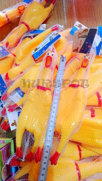 toptan böğüren öten horoz küçük boy