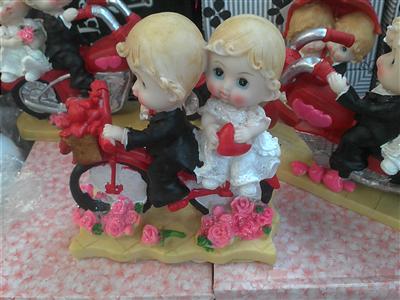 gelin damat bisikletli biblosu
