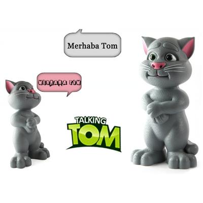 tom cats konuşan kedi