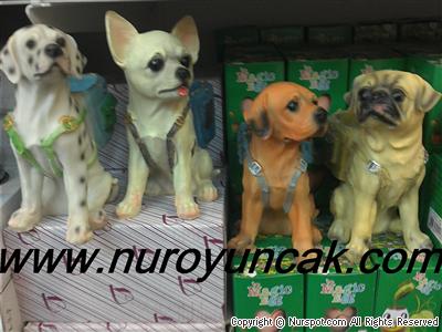 köpek biblosu yeni
