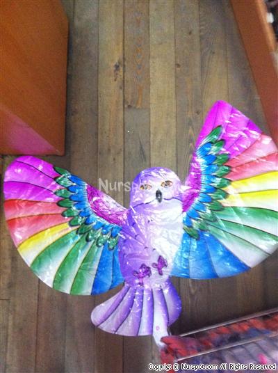 Folyo balon baykuş